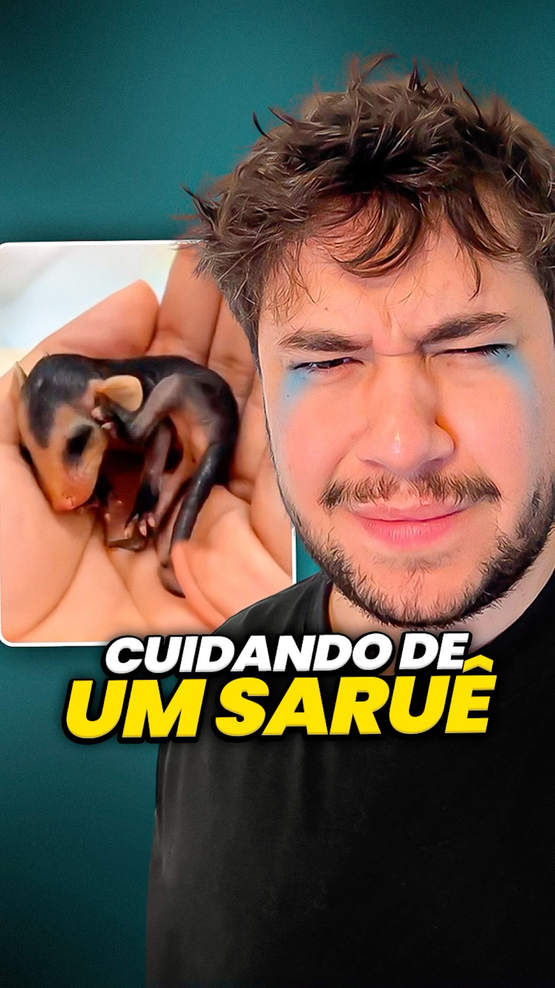cuidando de um saruê #livedobrino #humor #MundinhoBrino