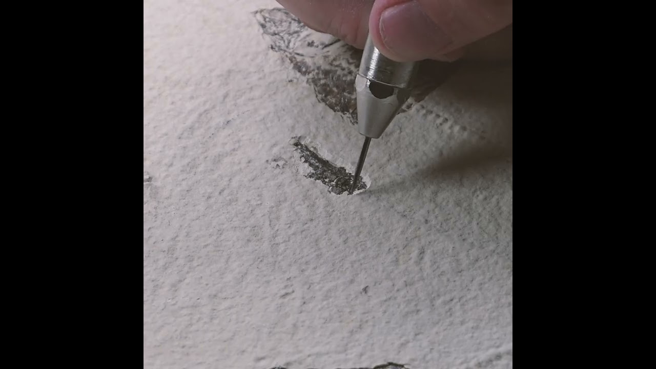 Every fossil’s story begins the same way — unearthed from stone and time itself.