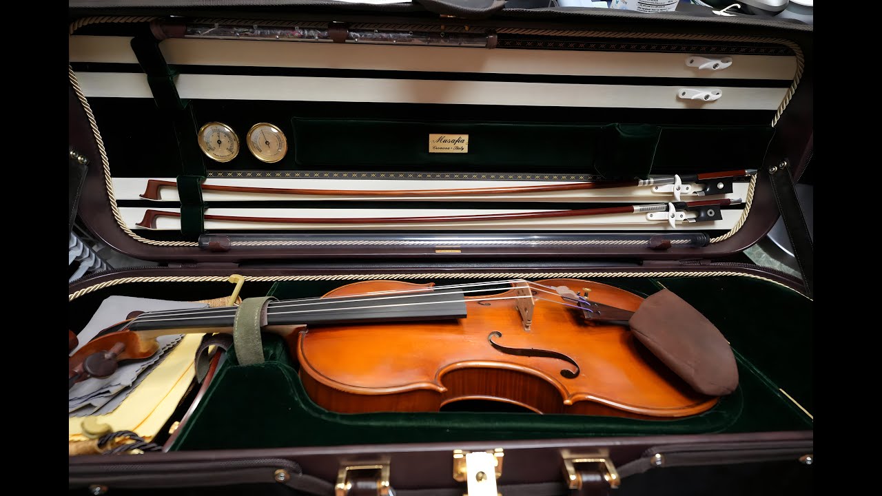 Musafia Luxury Classic Violin Case Unboxing - YouTube