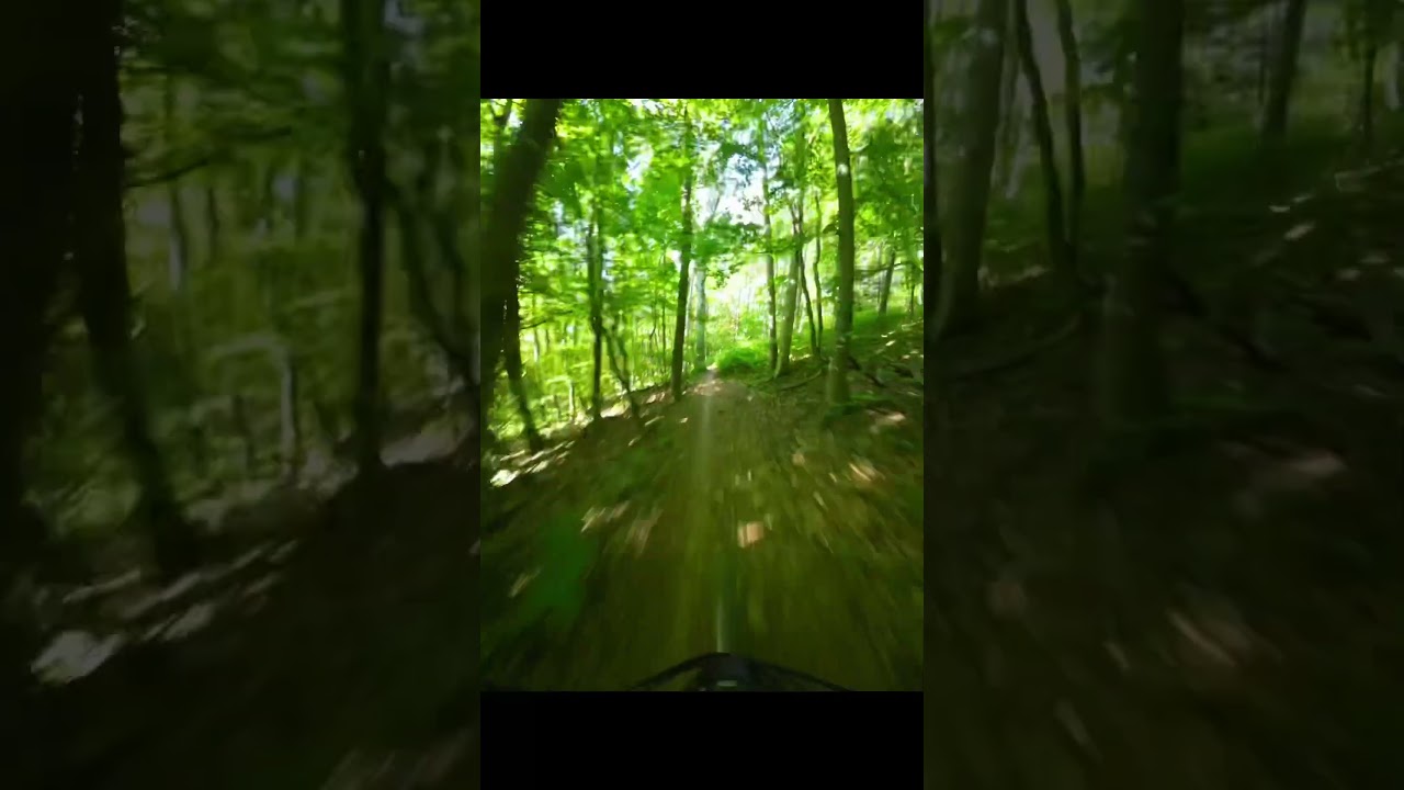 POV Downhill am Kahlenberg - Wurzeln, Flow & Speed pur