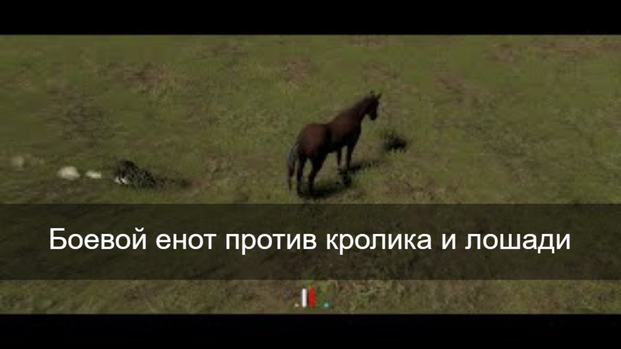 Лошадь против машины