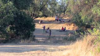 Panul, Bosque Comunitario / Documental (ARCOS, Chile)