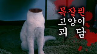 The Neckless Cat 【The Horror Ep.02】 (ENG SUB) screenshot 3