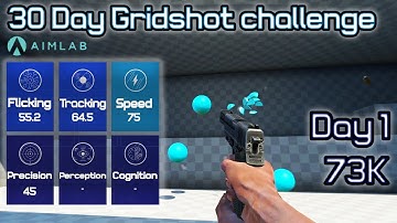 Aim Lab 30 Day Challenge - Day 1 73K (Gridshot)