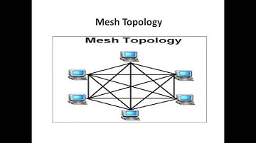 Bus Topology and Mesh Topology:  Data Communication and Networking Project