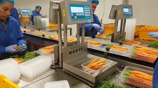 MARCO's Clients in the Vegetables Industry screenshot 5