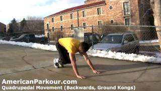 Quadrupedal Movement (Backwards, Ground Kongs) - Parkour Training and Conditioning Exercise screenshot 4