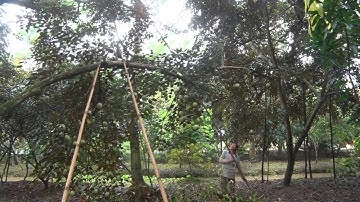 Tin Tức 24h : Cần tháo gỡ vướng mắc để thu hút đầu tư vào nông nghiệp