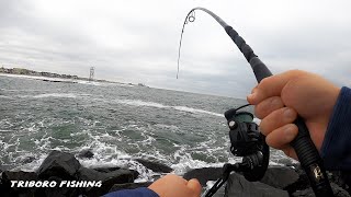 Catching Triple Keepers in Rough Water! | Jetty Fishing for Tautog