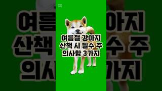 여름철 강아지 산책 시 필수 주의사항 3가지!! #강아지 #shortvideo #shorts #short