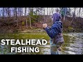 Stealhead Fishing in a Creek! BOBBER DOWNS!