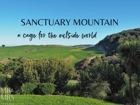 Exploring Sanctuary Mountain, NZ