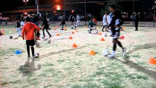 Santos Academy and Arizona Storm soccer Luis Davo Coach Santos Academy and Arizona Storm training screenshot 3