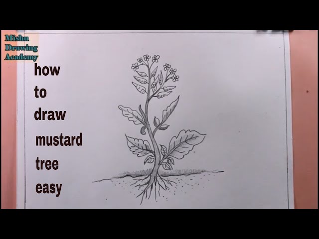 Ink Mustard Hand Drawn Sketch Stock Illustration - Download Image Now - Mustard  Plant, Mustard, Plant - iStock