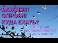 🔥Важно! Опрос! Две выставки-ярмарки в Ростове в один день. Кто куда поедет? Николаеские голуби.