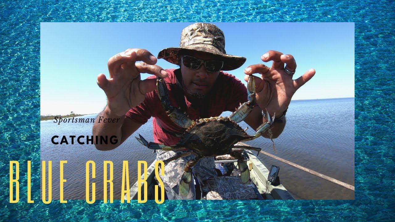 Crabbing Blue Crab Panama City Fl YouTube