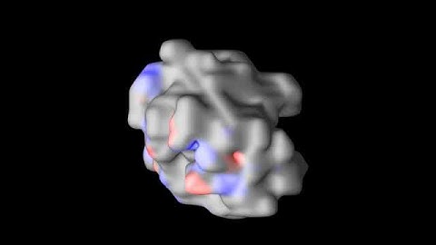 Protein Surface Charge Reconstruction