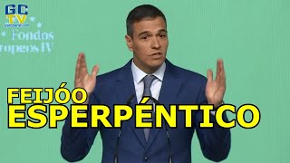 "Feijóo ESPERPÉNTICO" Pedro Sánchez sobre "contradicciónes del PP" sobre Cataluña