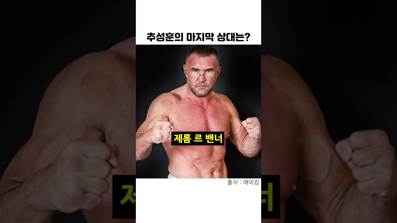 추성훈의 마지막 상대는?