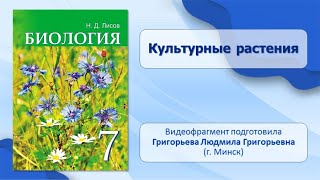 Тема 40. Культурные растения