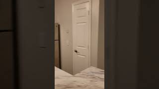 THE PALMER THE BRITTANY