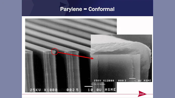 Parylene Variants, Attributes and Applications
