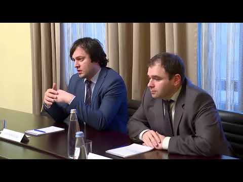 ირაკლი კობახიძის შეხვერდა ეუთოს საარჩევნო სადამკვირვებლო მისიის წარმომადგენლებთან