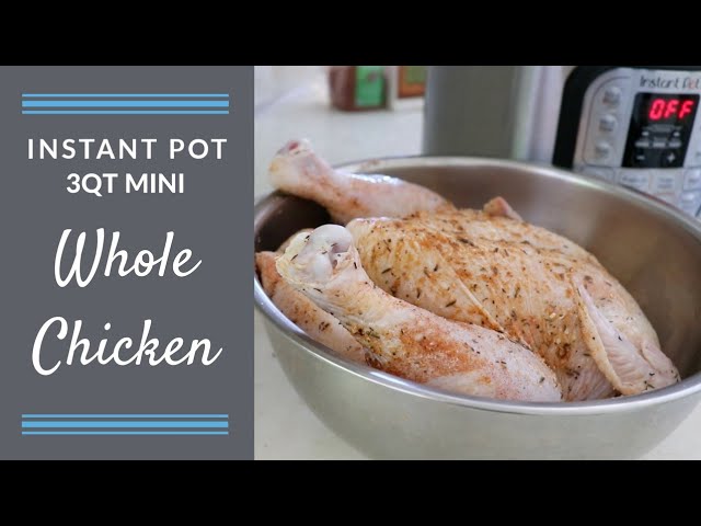 Instant Pot Duo Mini Review Demo Recipes 