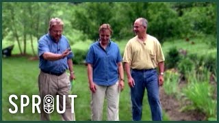 How to Build a Stunning Garden Arbor - DIY Tips and Pro Techniques