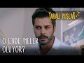 O evde neler oluyor? | Yaralı Kuşlar 117. Bölüm