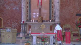 Niedziela Palmowa, czyli Męki Pańskiej - 2026