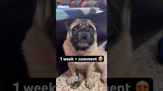 Hello,Lm Kajubut How Kaju?