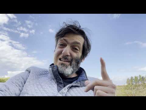 Happiness and Resilience | Quick Thoughts