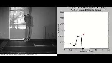 Dr. Jason Lake: Force & Movement