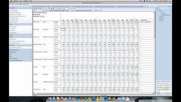 Using Dodeca on a Mac (OS X, Part 1/1)