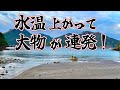 やはり二馬力ボートは最高！春のボート釣りはバラエティ豊かな大物ばかりだった！