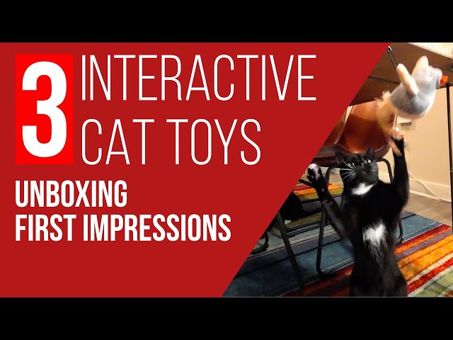 3 Interactive Cat Toys Unboxing and First Impressions | #diy #cats