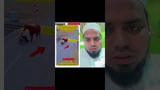 #vlog Janwar ko zarya banaa lete #Hain Allah Allah #❤️
