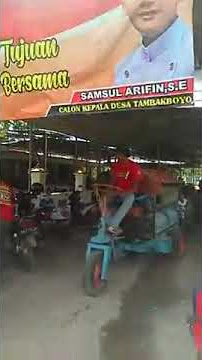 Clips pilkades Tambakboyo 2019 ganti lurah