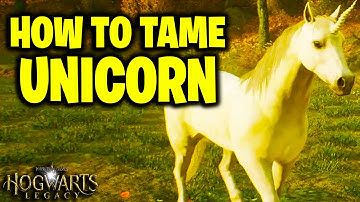HOW TO CATCH A UNICORN! HOGWARTS LEGACY