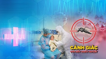 Cảnh giác với sốt xuất huyết trong dịch Covid-19 | VTC14