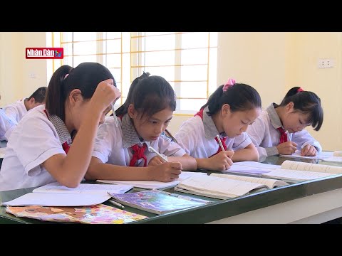 Video Phương án nào cho học sinh lớp 10 - YouTube