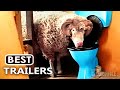 BEST UPCOMING COMEDY MOVIES 2021 (New Trailers)