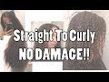 Watch My Hair Revert Staright to Curly- NO DAMAGE!! |shaachie