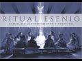 Meditación del primer día del Ritual ESENIO | Acercamiento a las MAESTRAS y MAESTROS ESENIOS