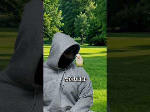 퀘이커앵무가 날개를 퍼덕이는 이유 thumbnail