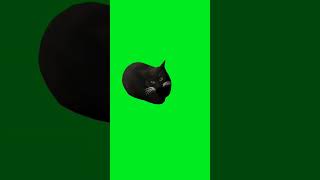 Maxwell On Green Background