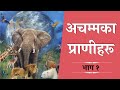 Amazing Creatures That Refute Evolution: Part 1