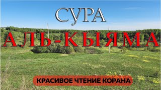 Сура Аль-Кыяма - КРАСИВОЕ ЧТЕНИЕ КОРАНА ДЛЯ ДУШИ | Чтение и смысловой перевод