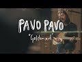 Pavo Pavo - Goldenrod | Buzzsession